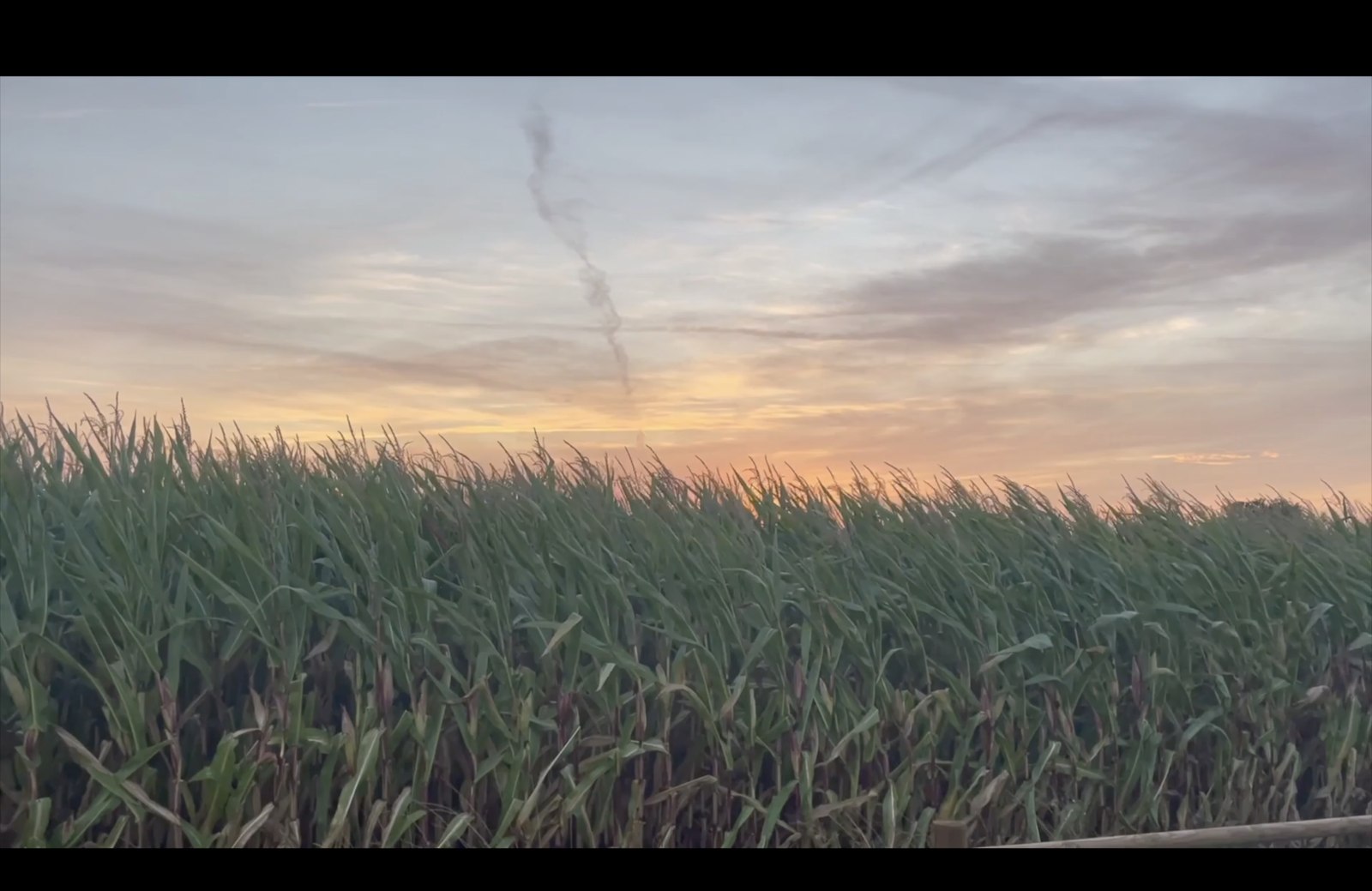 Trilogy of Letters and Territories still — tall grass against a dusk sky